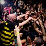 Behind the bumblebee