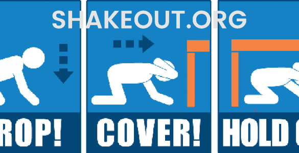 shakeout.org
