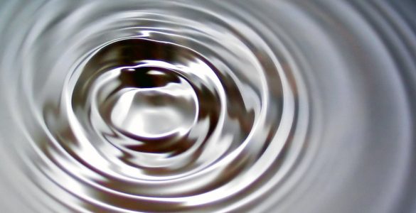 Surface Waves