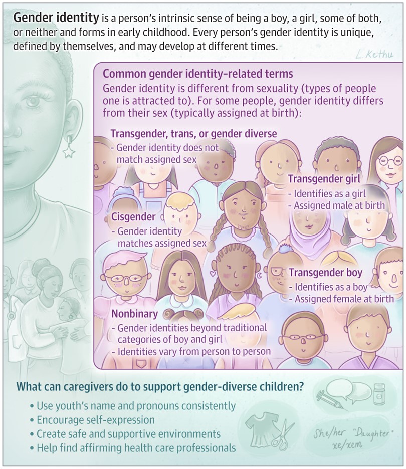 Gender Identity Chart, covering terms such as transgender, trans, gender-diverse, cisgender, nonbinary. Image links to text of original article.