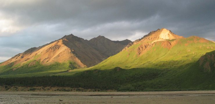 "Toklat View", Denali National Park & Preserve. Source: National Park Service, 2010, public domain.