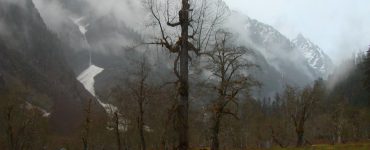 "Enchanted Valley, Olympic National Park". Credit: National Park Service, 2010, public domain.