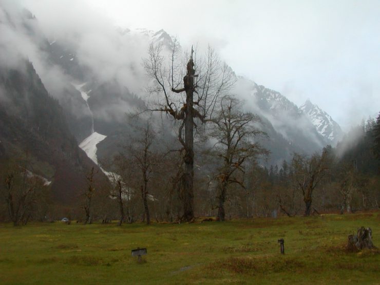 "Enchanted Valley, Olympic National Park". Credit: National Park Service, 2010, public domain.