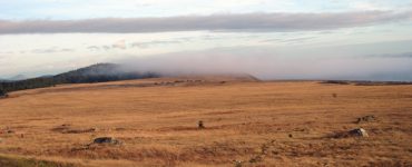 "Prairie Fog at San Juan Island National Historical Park". Credit: National Park Service, 2010, public domain.