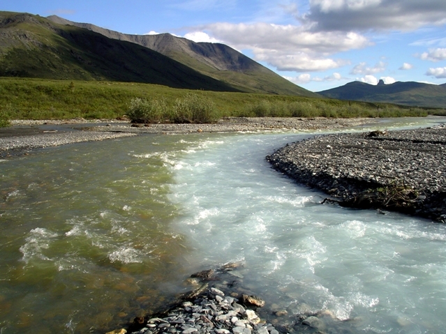 "Merging Waters". A glacial stream merges with a clear stream in the Noatak River drainage. Credit: Gates Of The Arctic National Park & Preserve, National Park Service, public domain.