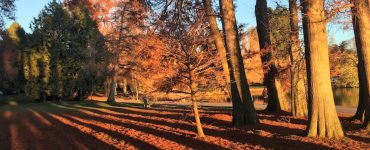 "Green Lake in the Fall", an expanse of water and green space in the center of a dense urban neighborhood. By Bruce at C89.5.