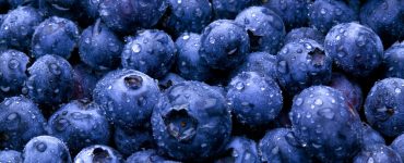 "Blueberries from Alaska". Credit: Alaska Region Subsistence, National Park Service, public domain.