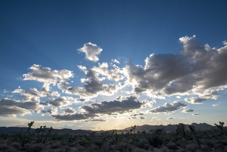 "Joshua Tree Landscape Clouds". Credit: Joshua Tree National Park, National Park Service, public domain.