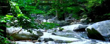 "Rapids of Rock Creek near Rapids Bridge". Credit: Rock Creek Park (National Park Service), public domain.