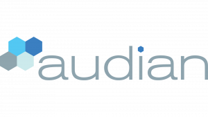 The logo blue and gray logo for Audian software company