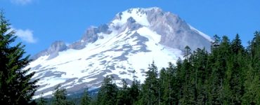 Snow covered volcano in the distance, with evergreen trees in the foreground and blue skies.