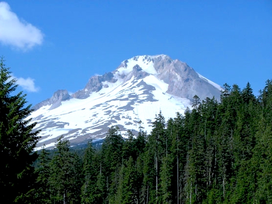 Snow covered volcano in the distance, with evergreen trees in the foreground and blue skies.