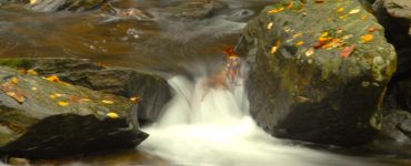 A stream cascading over rocks.