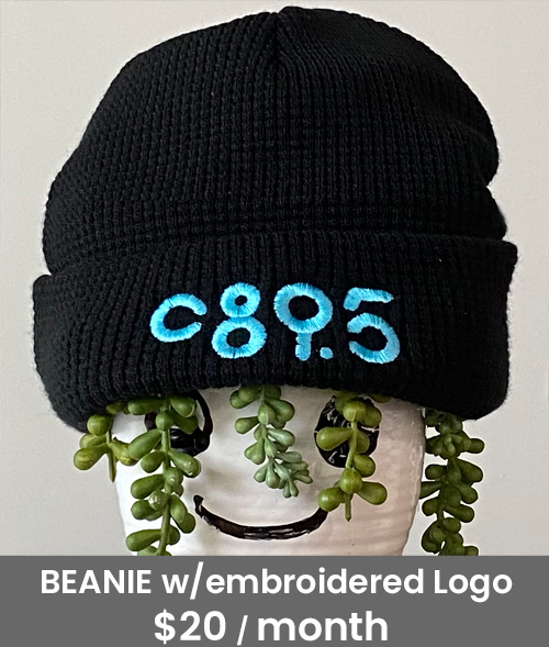 A picture of a black knit beanie on top of a potted plant