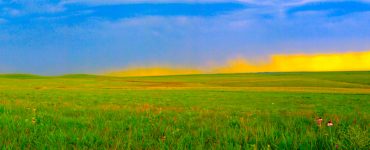 Rain clouds in sky and large field of tallgrass and wildflowers in foreground