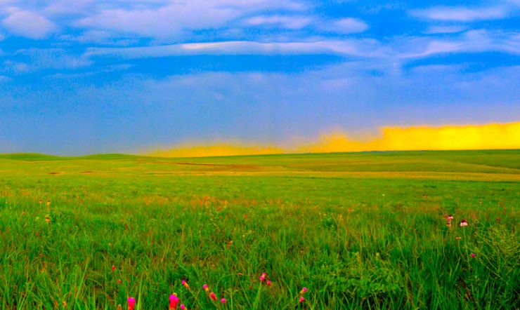 Rain clouds in sky and large field of tallgrass and wildflowers in foreground