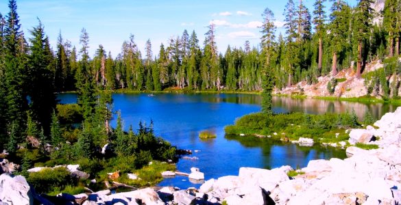A clear blue lake surrounded by trees and rocks.