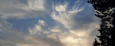 Swirly white clouds above trees at dusk.