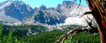 Mountain peaks and peaks in the distance with snow. An expired tree is in the foreground.