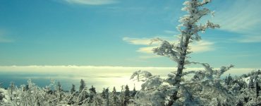 A winter landscape, with evergreen trees covered in snow and ice. The ground is snow covered. There are some clouds in the sky, but it is mostly blue, on a sunny day. The ground slopes downward.