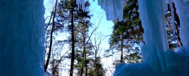 A view of evergreen trees through a hole in a wall of ice, likely a cave.