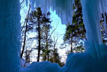 A view of evergreen trees through a hole in a wall of ice, likely a cave.