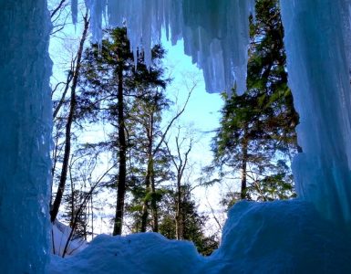 A view of evergreen trees through a hole in a wall of ice, likely a cave.