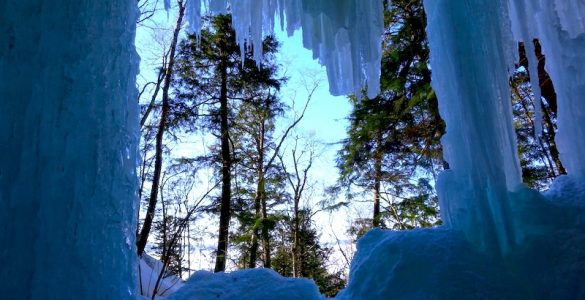 A view of evergreen trees through a hole in a wall of ice, likely a cave.