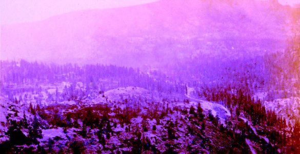 Old photograph of a hilly landscape with evergreen trees and snow. There is a valley running between the hills, and foggy weather conditions.