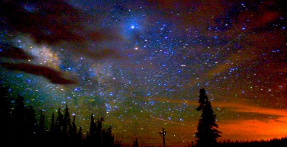 An image of a night sky in a rural area. The sky is star filled, with some clouds, and hues of blue and orange. There are shadows of trees in the foreground as well as evidence of human habitation in the form of a utility pole.