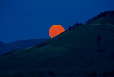A deep orange moon rising from the mountain obscured horizon. The sky is dark blue. The mountains appear barren of vegetation, except for some evergreen trees near the peak.