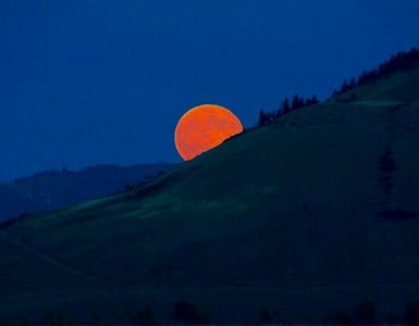 A deep orange moon rising from the mountain obscured horizon. The sky is dark blue. The mountains appear barren of vegetation, except for some evergreen trees near the peak.