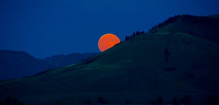 A deep orange moon rising from the mountain obscured horizon. The sky is dark blue. The mountains appear barren of vegetation, except for some evergreen trees near the peak.