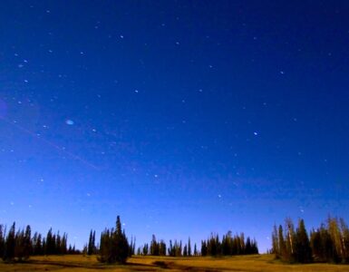 View of the night sky at sunset. The sky is becoming dark blue, and the sun is still illuminating the greenery on the ground. The sky is filled with stars, and gets deeper blue as the altitude increases.