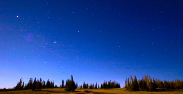 View of the night sky at sunset. The sky is becoming dark blue, and the sun is still illuminating the greenery on the ground. The sky is filled with stars, and gets deeper blue as the altitude increases.