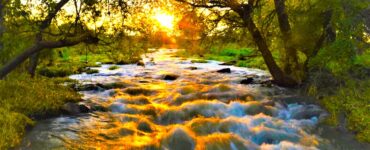 A creek with water running toward the camera's perspective. The sunset is occurring towards the direction of the head of the creek. The creek has many rocks in it, make the water run as rapid. The land area around is grassy with trees that are filtering the sunset. The sun is bright yellow and reflects on the rapids.