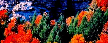 A high rocky cliff with trees in front of it. The trees are autumn colors, including orange, yellow, red and green. On top of the cliff are some trees in which you can only see the shape of. The sky is blue. The cliff is approximately 35 feet feet higher than the tree line below.