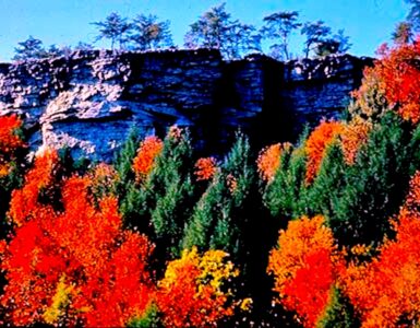 A high rocky cliff with trees in front of it. The trees are autumn colors, including orange, yellow, red and green. On top of the cliff are some trees in which you can only see the shape of. The sky is blue. The cliff is approximately 35 feet feet higher than the tree line below.