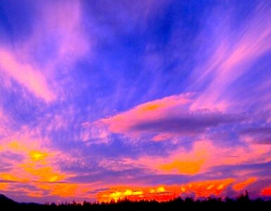 A sunset scene. At the bottom is a landscape of trees in the distance, showing only their profile. The sky is blue, yellow, orange and pink, and composes most of the photo.