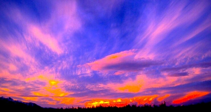 A sunset scene. At the bottom is a landscape of trees in the distance, showing only their profile. The sky is blue, yellow, orange and pink, and composes most of the photo.