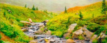 A mid-sized creek flowing down the grassy and hilly side of a large mountain. The creek has rocks in it, and small waterfalls that form as a result of the rocks and elevation decrease. The land surrounding the creek is covered by short shrubbery that is green and yellow. There are sparsely located evergreen trees. In the background is a ridge obscured by mist or fog.