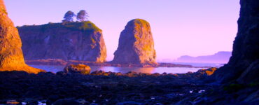 A shady, rocky coastline, with giant sun illuminated rock formations just off the coast. The formations are shoals and small islands or rock columns called sea stacks. One sea stack has 2 trees on top of it. A light mist is in the background. The sky is a purple-blue.