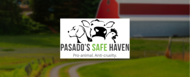 The words "Pasado's Safe Haven - Pro-animal, Anti-Cruelty" with a cartoon like image of a dog, cow and chicken. The background is a red barn and green grass with a road.