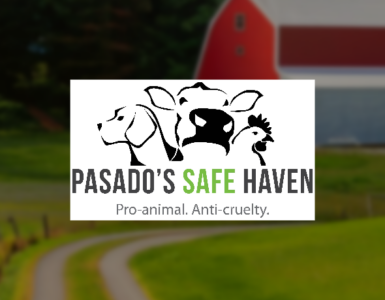 The words "Pasado's Safe Haven - Pro-animal, Anti-Cruelty" with a cartoon like image of a dog, cow and chicken. The background is a red barn and green grass with a road.