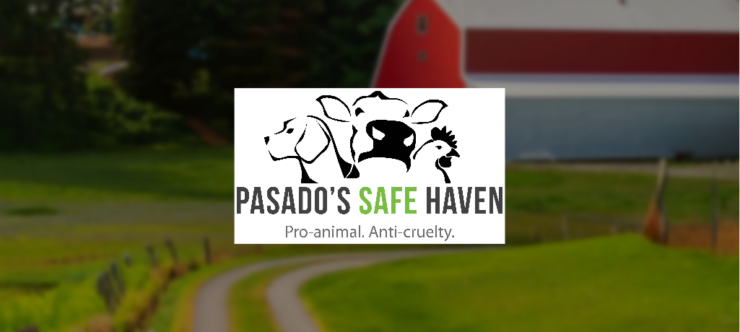 The words "Pasado's Safe Haven - Pro-animal, Anti-Cruelty" with a cartoon like image of a dog, cow and chicken. The background is a red barn and green grass with a road.