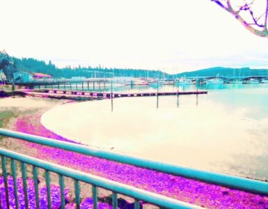 A view of a calm waterfront marina, including a dock with many parked boats behind it. The terrain in the background is hilly.