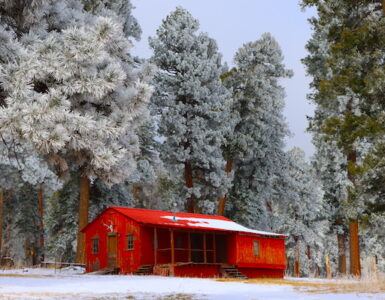 A rustic brown cabin nestled in a snowy forest clearing. Snow-laden evergreen trees stand tall in the background and foreground, framing the quaint cabin. A light dusting of snow blankets the ground, creating a peaceful winter wonderland scene.