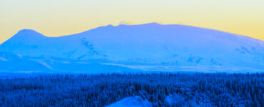 Snow-covered evergreen trees in the foreground of a majestic snow-capped mountain, with wisps of steam rising from its peak. A clear sky completes the picture.