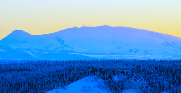 Snow-covered evergreen trees in the foreground of a majestic snow-capped mountain, with wisps of steam rising from its peak. A clear sky completes the picture.