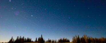 Starry night sky with celestial light over a meadow surrounded by conifer trees.